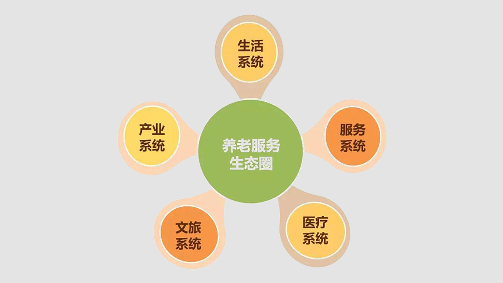 打造養(yǎng)老數(shù)字化平臺 賦能養(yǎng)老行業(yè)規(guī)?；l(fā)展(圖10)